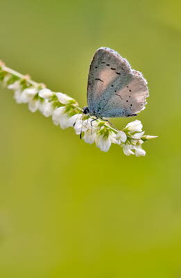 20090713__86H7020_klein