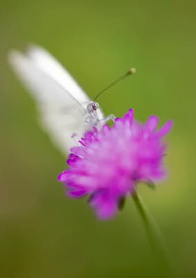 20090902__86H9089_klein