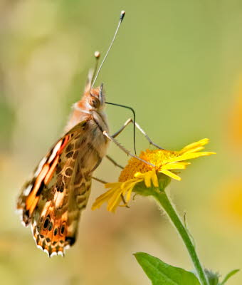 20090917__MG_1773_klein